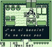 une photo d'Ã©cran de The Legend of Zelda - Link s Awakening sur Nintendo Game Boy